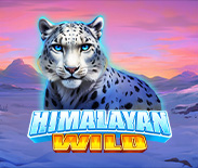 Himalayan Wild